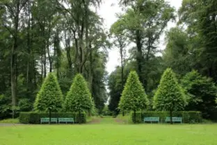 Tala y poda de árboles en altura, La Coruña y provincia Tala y poda de árboles en altura, La Coruña y provincia