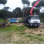 Poda y tala de árboles en altura, JAÉN